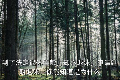到了法定退休年齡，卻不退休，申請延期退休，你能知道是為什么