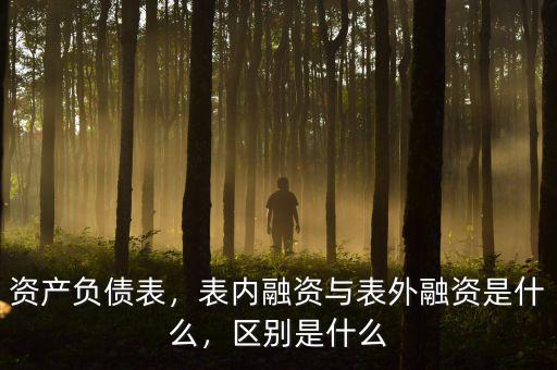 資產(chǎn)負債表，表內(nèi)融資與表外融資是什么，區(qū)別是什么
