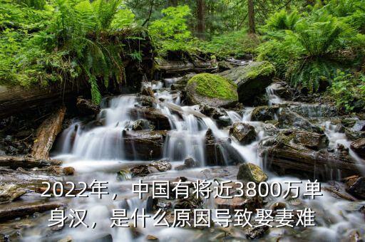 2022年，中國有將近3800萬單身漢，是什么原因?qū)е氯⑵揠y