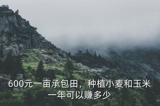 600元一畝承包田，種植小麥和玉米一年可以賺多少
