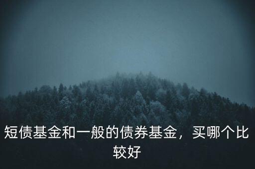 短債基金和一般的債券基金，買哪個(gè)比較好