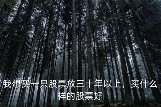 我想買一只股票放三十年以上，買什么樣的股票好