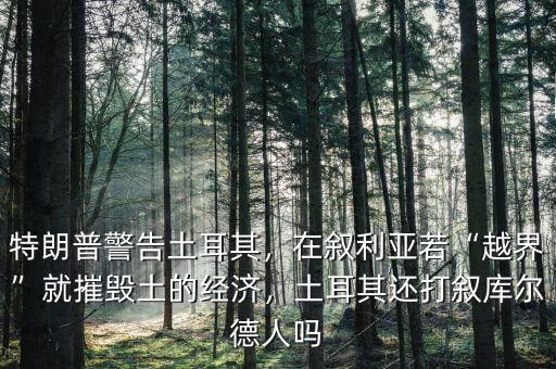 特朗普警告土耳其，在敘利亞若“越界”就摧毀土的經(jīng)濟，土耳其還打敘庫爾德人嗎