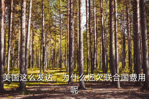 為什么美國(guó)欠中國(guó)錢(qián),為什么還欠聯(lián)合國(guó)費(fèi)用呢