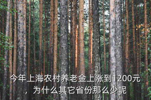 今年上海農(nóng)村養(yǎng)老金上漲到1200元，為什么其它省份那么少呢