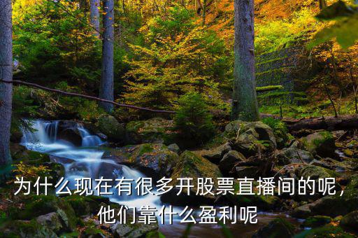 為什么現(xiàn)在有很多開股票直播間的呢，他們靠什么盈利呢