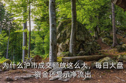 為什么滬市成交額放這么大，每日大盤資金還顯示凈流出