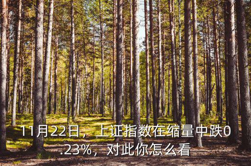 11月22日，上證指數(shù)在縮量中跌0.23%，對(duì)此你怎么看