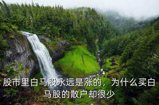 股市里白馬股永遠是漲的，為什么買白馬股的散戶卻很少