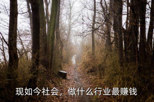 現如今社會，做什么行業(yè)最賺錢