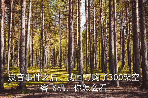 波音事件之后，我國訂購了300架空客飛機(jī)，你怎么看