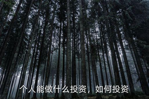 個(gè)人能做什么投資，如何投資