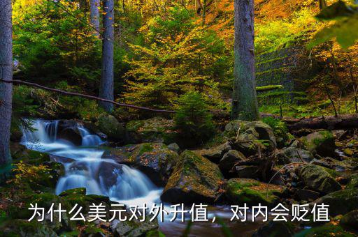 為什么美元對外升值，對內(nèi)會貶值