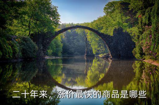 二十年來，漲價(jià)最快的商品是哪些