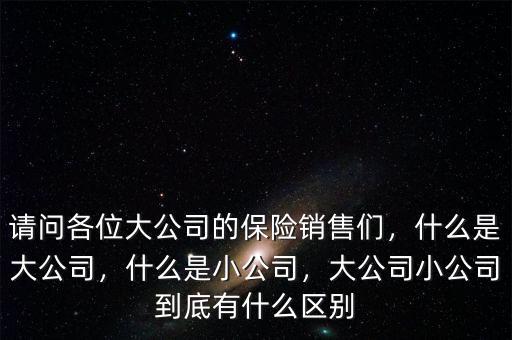 請問各位大公司的保險銷售們，什么是大公司，什么是小公司，大公司小公司到底有什么區(qū)別