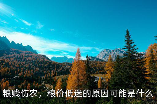糧賤傷農(nóng)，糧價(jià)低迷的原因可能是什么