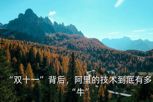 “雙十一”背后，阿里的技術(shù)到底有多“牛”