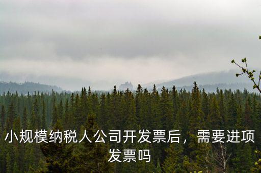 小規(guī)模納稅人公司開發(fā)票后，需要進項發(fā)票嗎