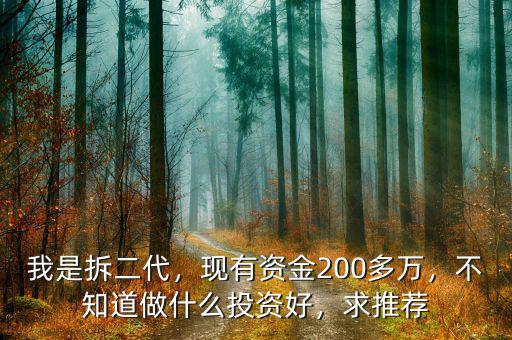 我是拆二代，現(xiàn)有資金200多萬，不知道做什么投資好，求推薦