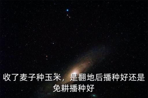 收了麥子種玉米，是翻地后播種好還是免耕播種好