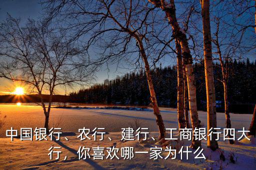 中國銀行、農(nóng)行、建行、工商銀行四大行，你喜歡哪一家為什么