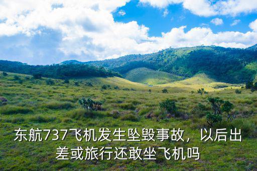 東航737飛機發(fā)生墜毀事故，以后出差或旅行還敢坐飛機嗎