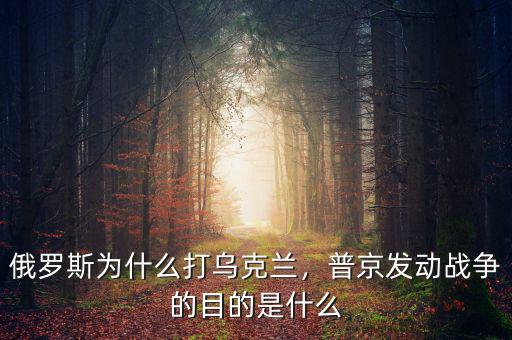 俄羅斯為什么打烏克蘭，普京發(fā)動戰(zhàn)爭的目的是什么