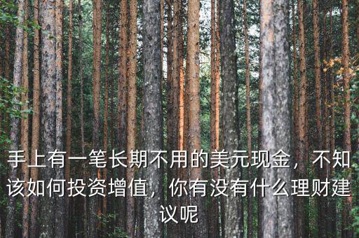 手上有一筆長(zhǎng)期不用的美元現(xiàn)金，不知該如何投資增值，你有沒有什么理財(cái)建議呢