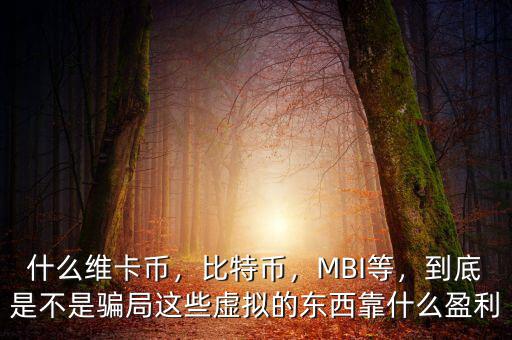 什么維卡幣，比特幣，MBI等，到底是不是騙局這些虛擬的東西靠什么盈利