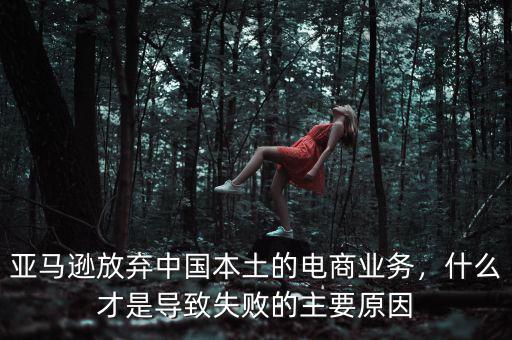 亞馬遜放棄中國本土的電商業(yè)務，什么才是導致失敗的主要原因