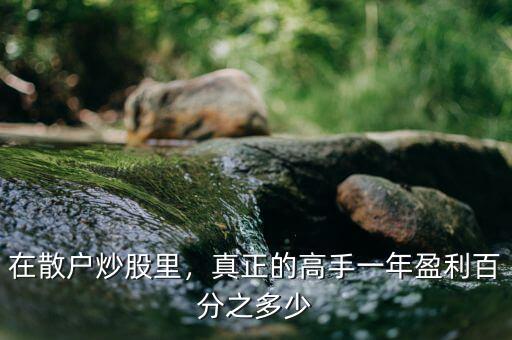 在散戶炒股里，真正的高手一年盈利百分之多少