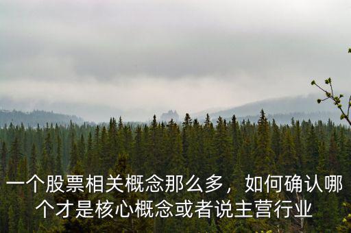 一個股票相關概念那么多，如何確認哪個才是核心概念或者說主營行業(yè)