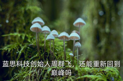 藍(lán)思科技創(chuàng)始人周群飛，還能重新回到巔峰嗎