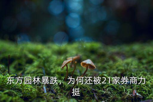 東方園林暴跌，為何還被21家券商力挺
