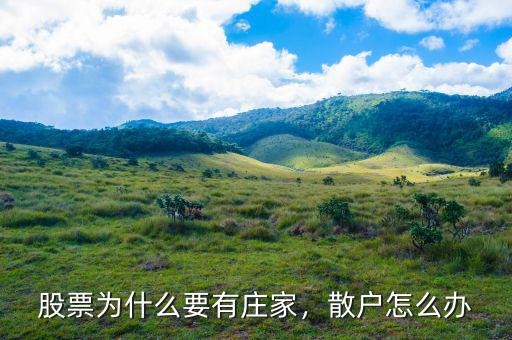 股票為什么要有莊家，散戶(hù)怎么辦