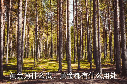 黃金為什么貴，黃金都有什么用處
