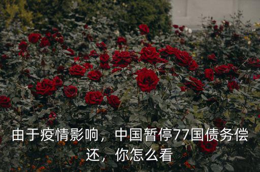 由于疫情影響，中國暫停77國債務償還，你怎么看