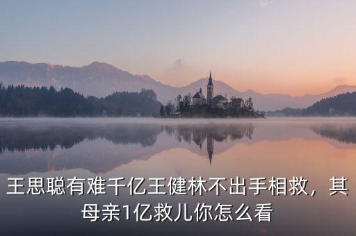 王思聰有難千億王健林不出手相救，其母親1億救兒你怎么看