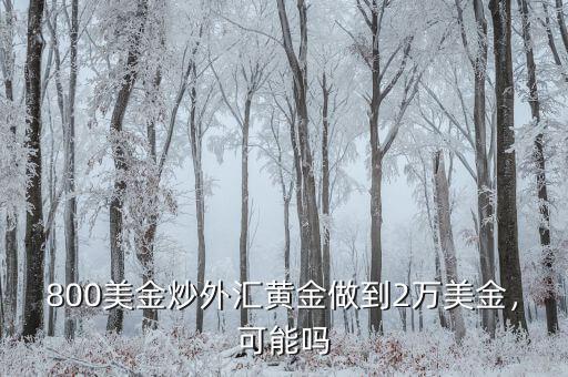 800美金炒外匯黃金做到2萬(wàn)美金，可能嗎