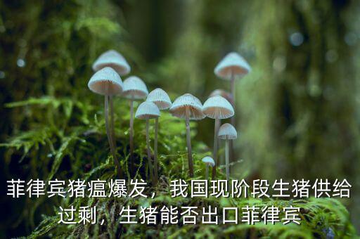 菲律賓豬瘟爆發(fā)，我國現(xiàn)階段生豬供給過剩，生豬能否出口菲律賓