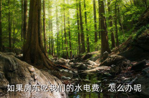 如果房東吃我們的水電費(fèi)，怎么辦呢