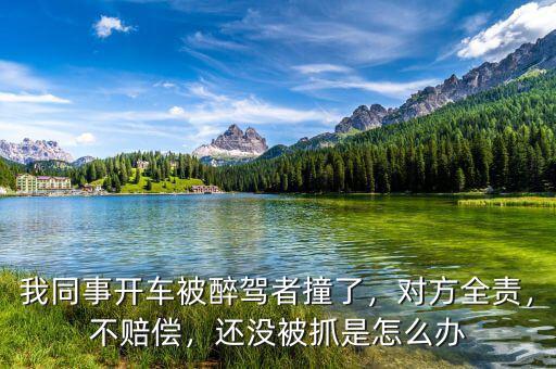 我同事開(kāi)車被醉駕者撞了，對(duì)方全責(zé)，不賠償，還沒(méi)被抓是怎么辦