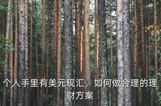 個(gè)人手里有美元現(xiàn)匯，如何做合理的理財(cái)方案