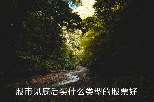 股市見(jiàn)底后買(mǎi)什么類(lèi)型的股票好