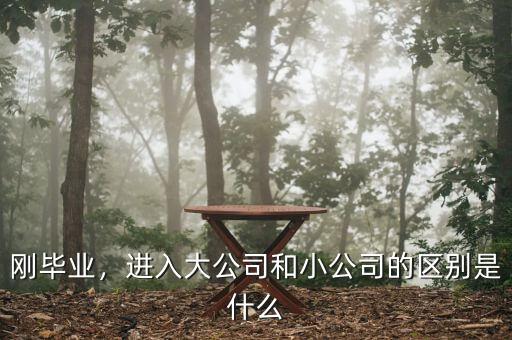 剛畢業(yè)，進(jìn)入大公司和小公司的區(qū)別是什么