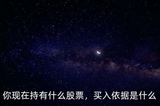 你現(xiàn)在持有什么股票，買入依據(jù)是什么