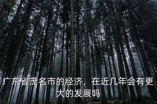 廣東省茂名市的經(jīng)濟，在近幾年會有更大的發(fā)展嗎