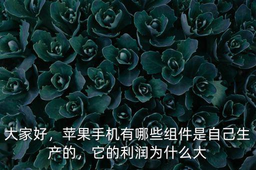 大家好，蘋果手機有哪些組件是自己生產(chǎn)的，它的利潤為什么大