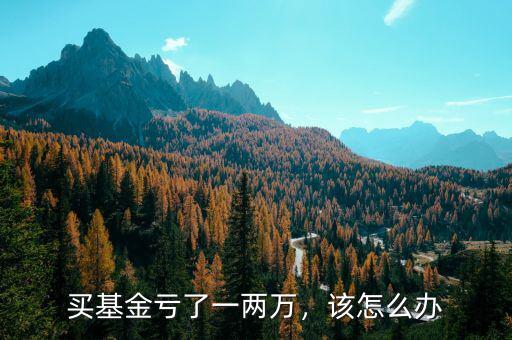 買基金虧了一兩萬(wàn)，該怎么辦