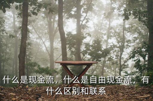 什么是現(xiàn)金流，什么是自由現(xiàn)金流，有什么區(qū)別和聯(lián)系